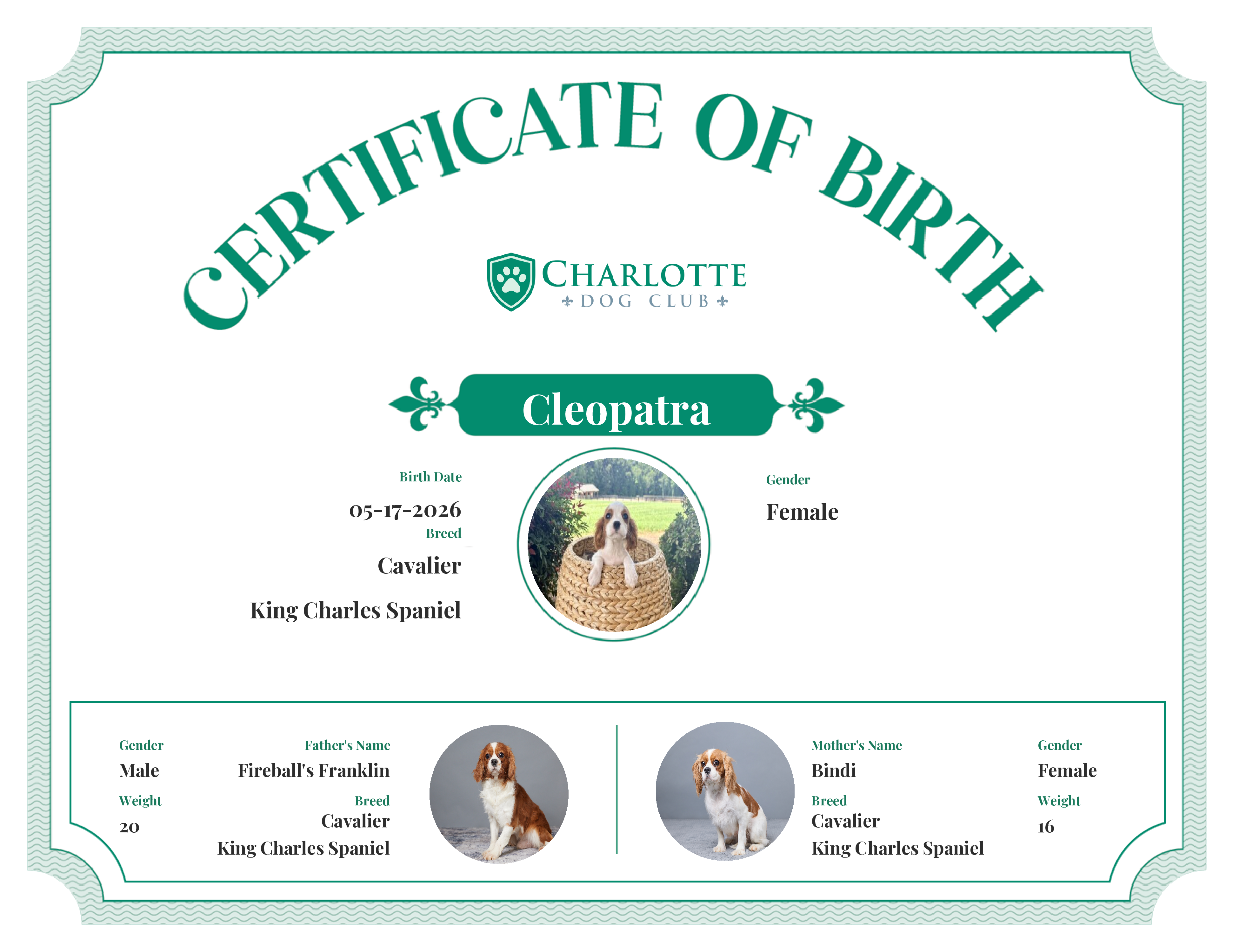 Cleopatra's Birth Certificate