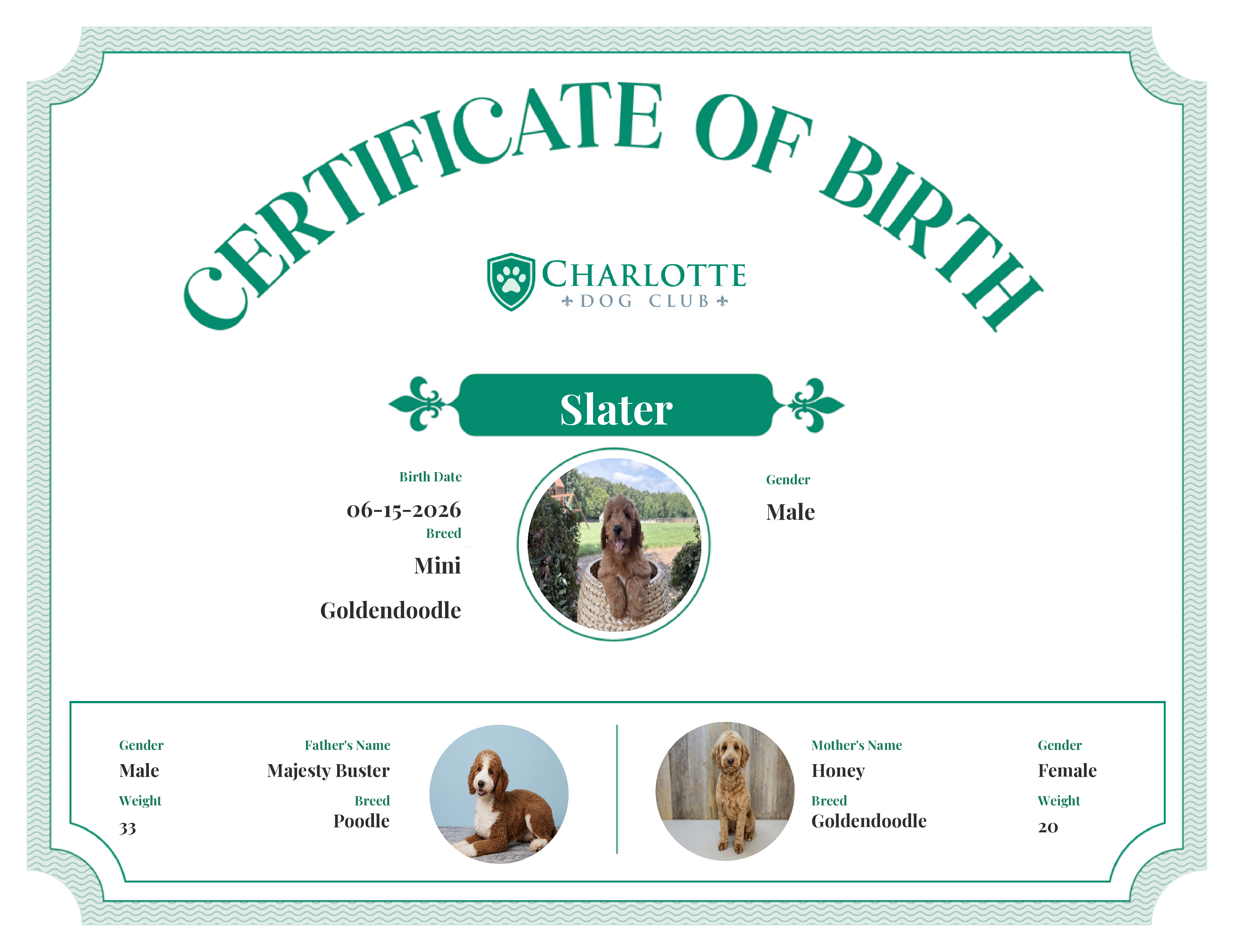 Slater's Birth Certificate