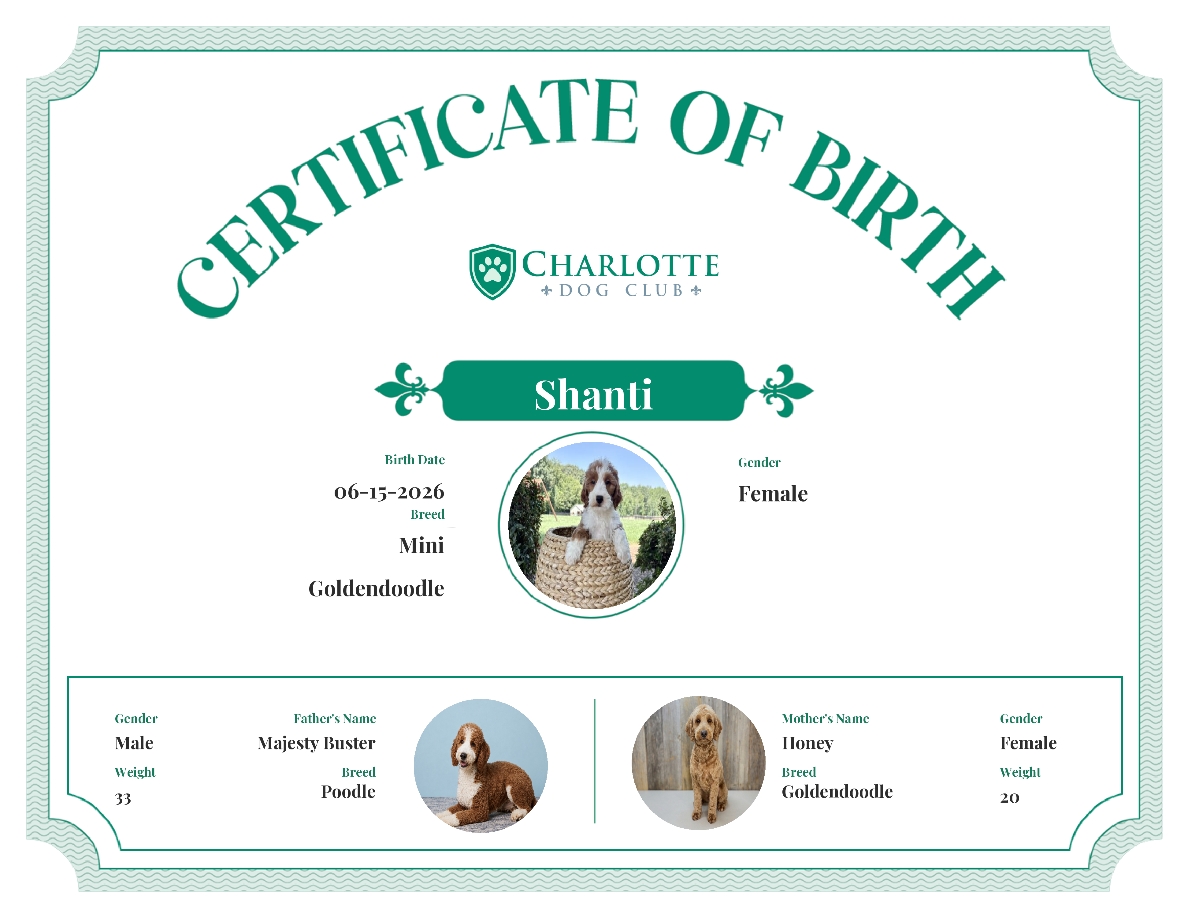 Shanti's Birth Certificate