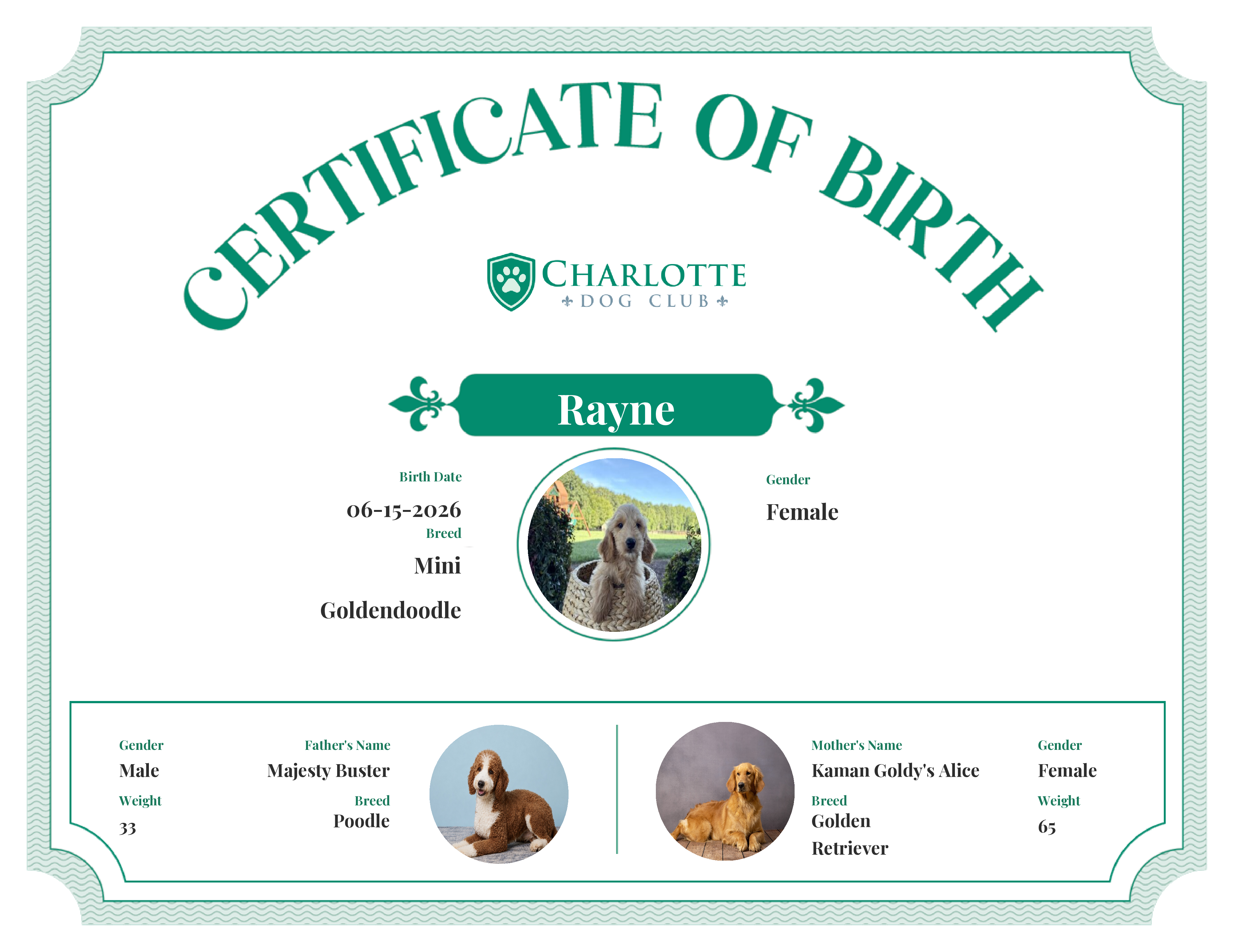 Rayne's Birth Certificate