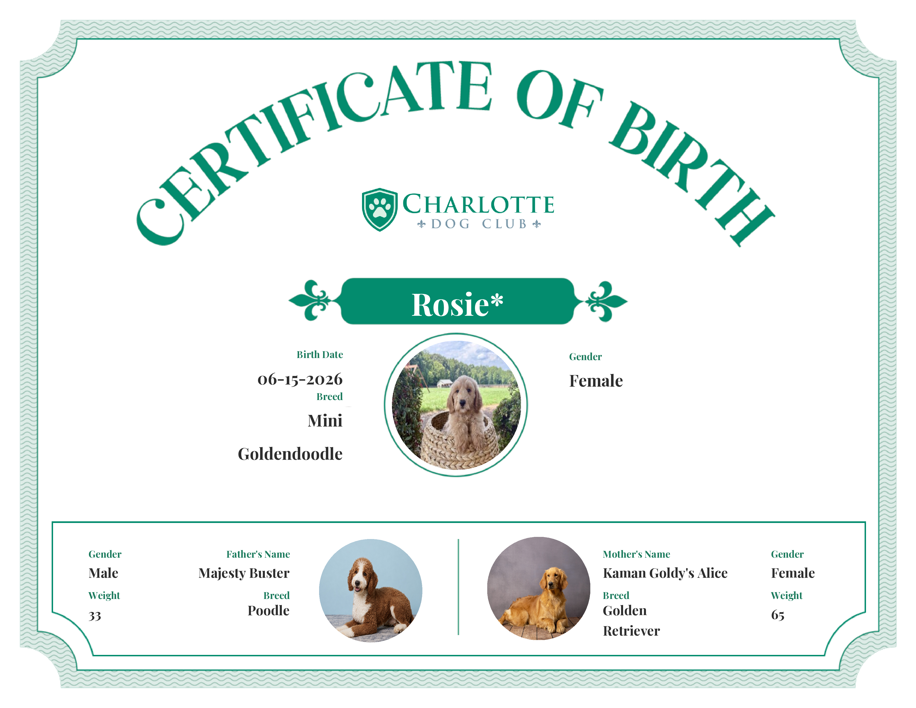 Rosie*'s Birth Certificate