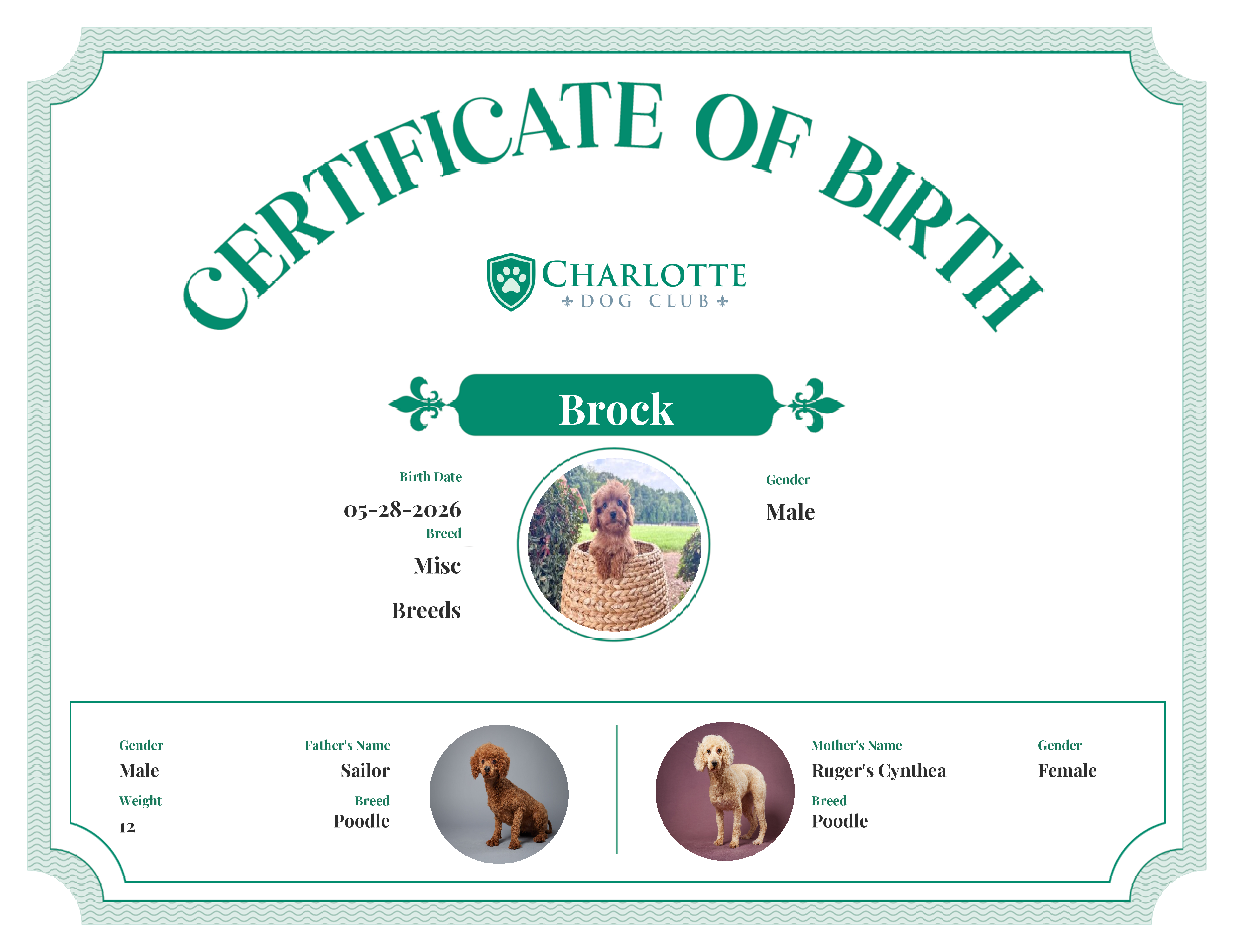 Brock's Birth Certificate