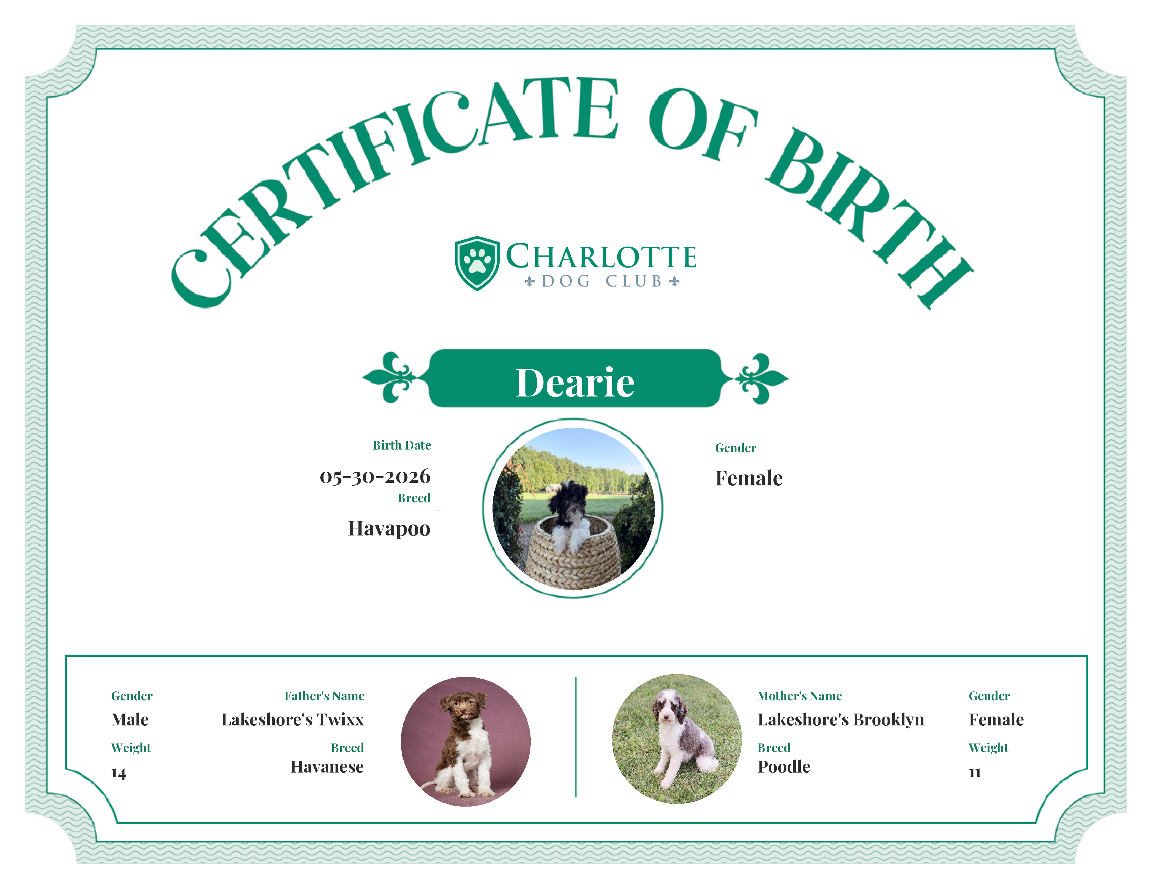 Dearie's Birth Certificate