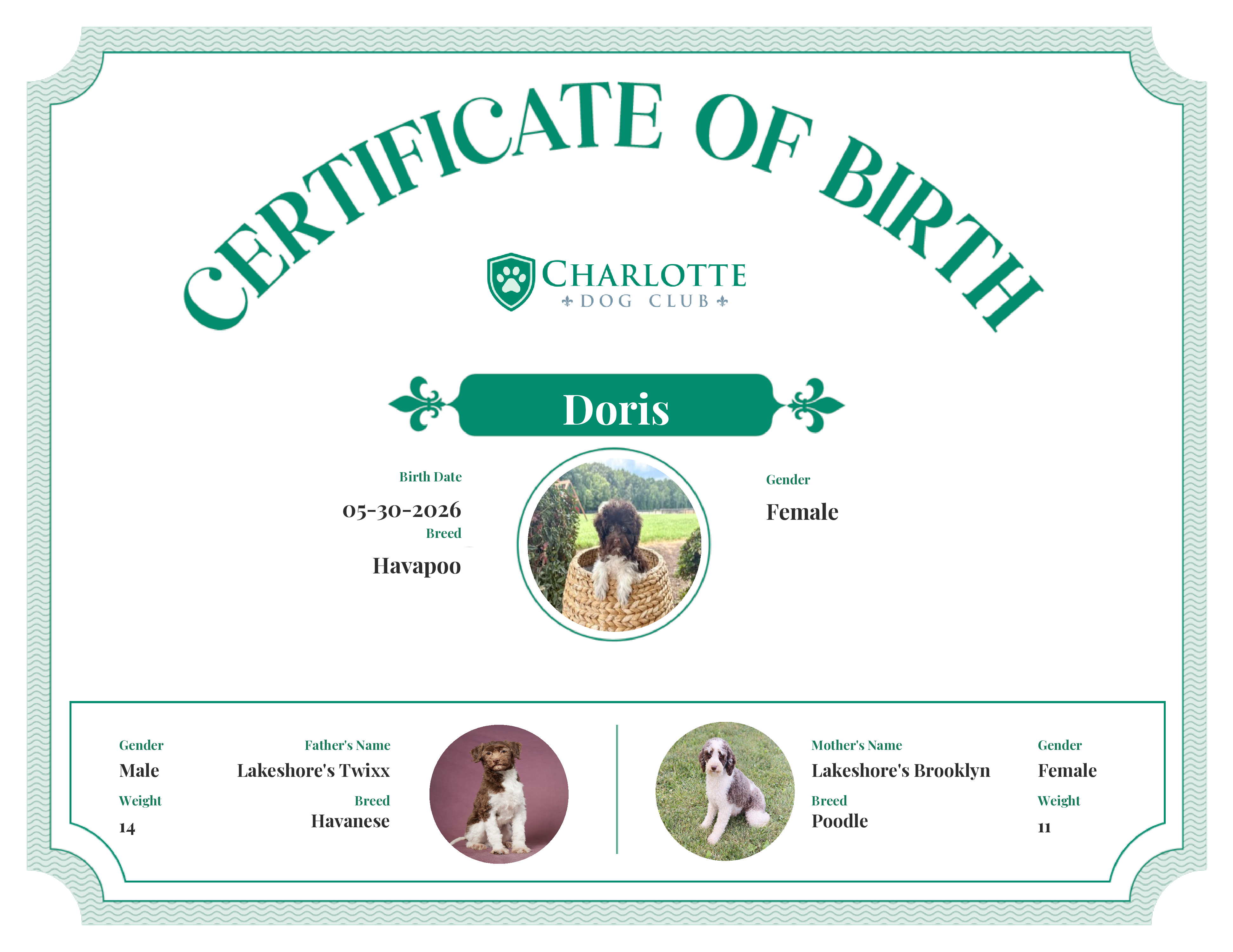 Doris's Birth Certificate