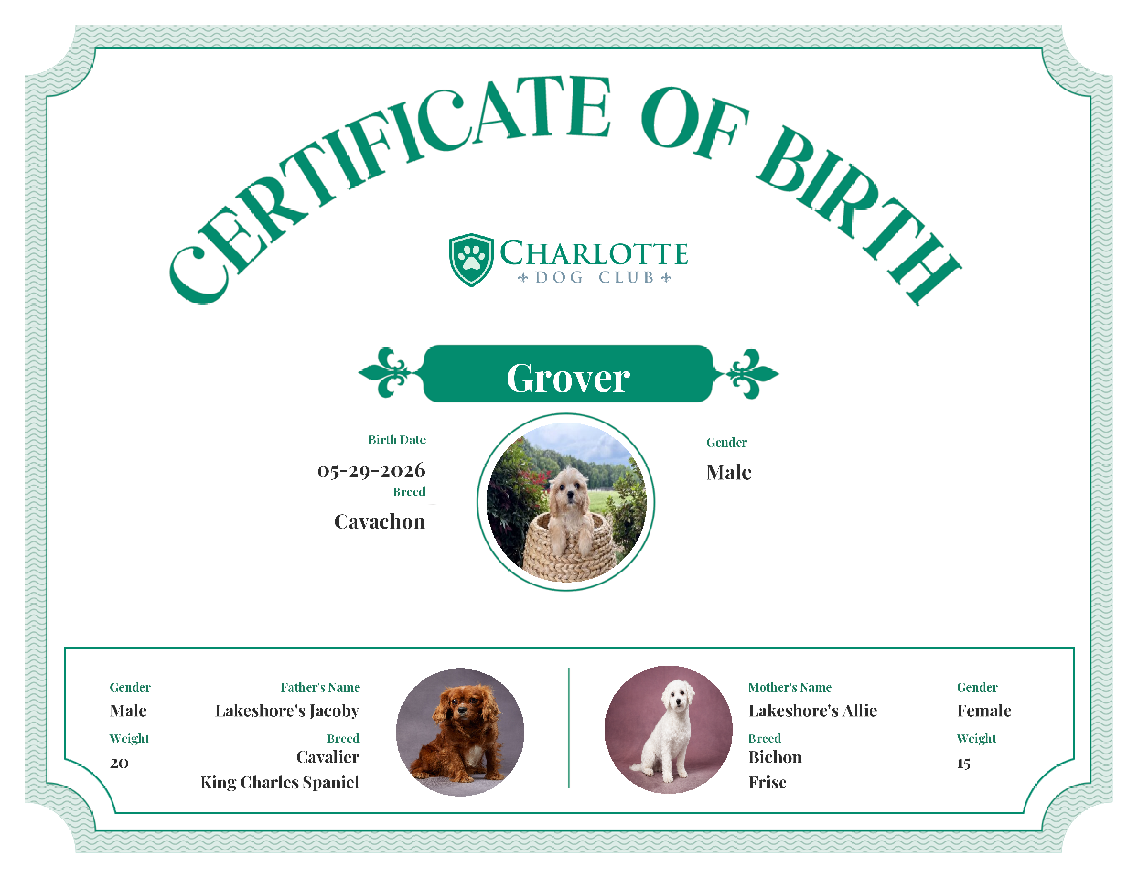Grover's Birth Certificate