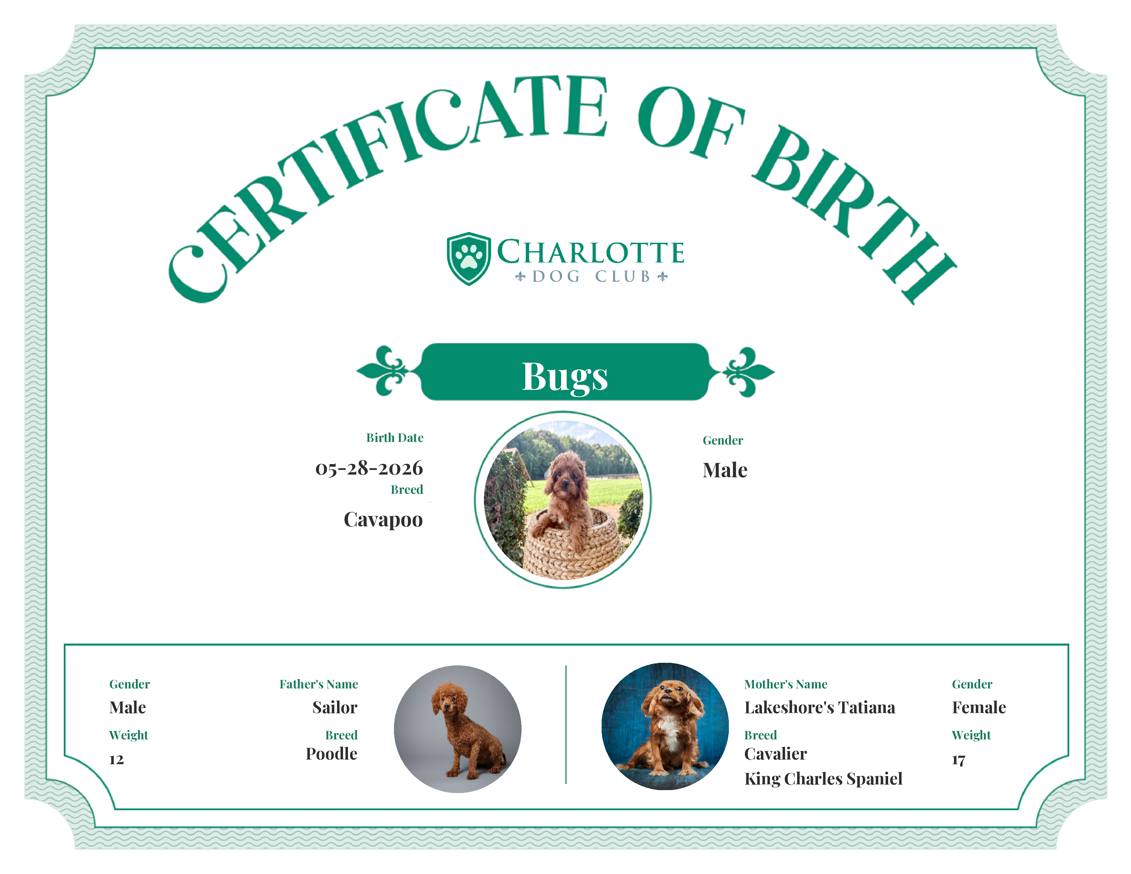 Bugs's Birth Certificate