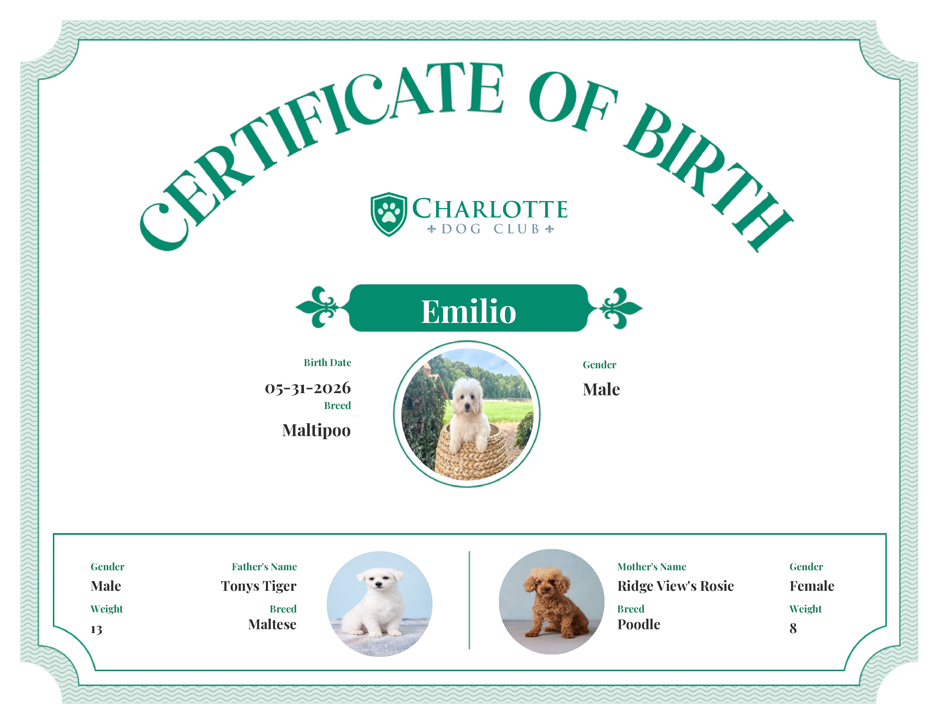 Emilio's Birth Certificate