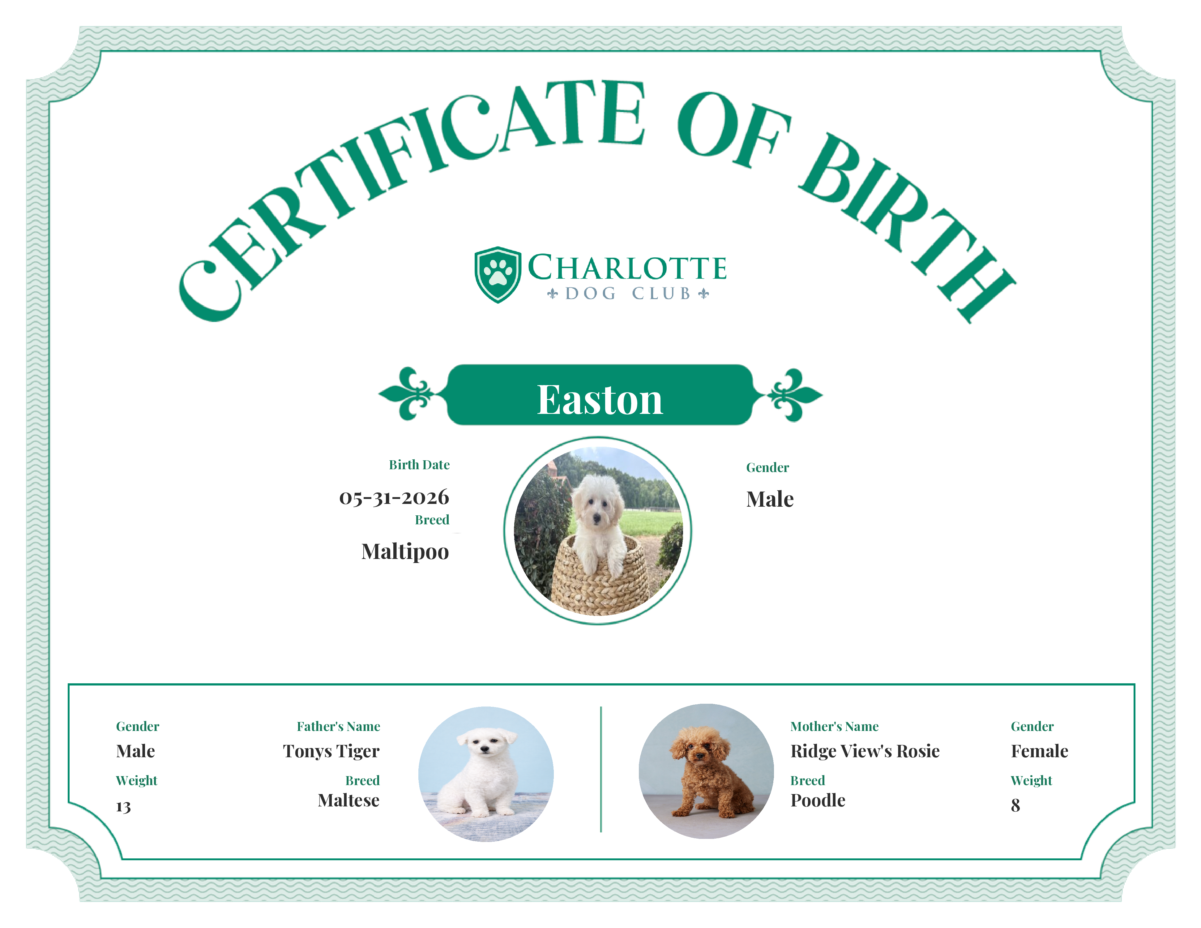 Easton's Birth Certificate
