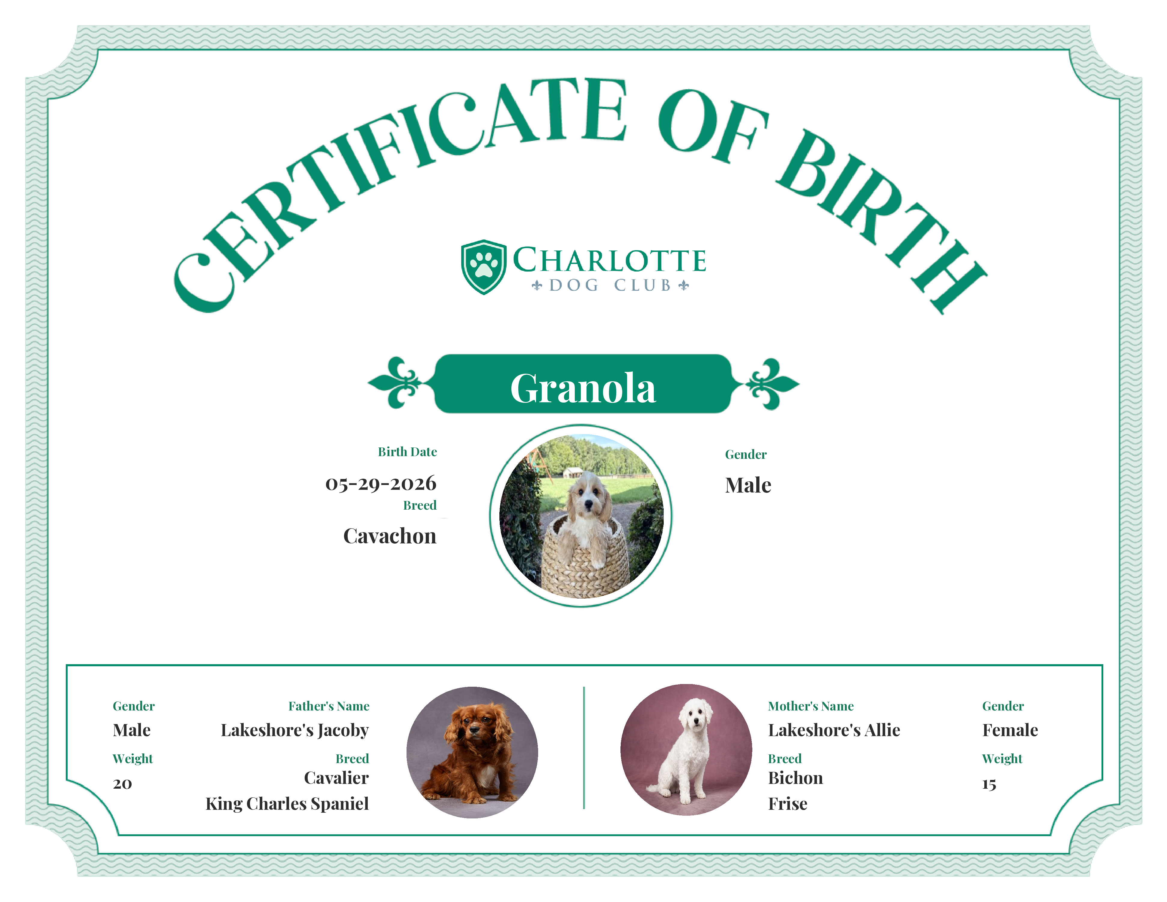 Granola's Birth Certificate