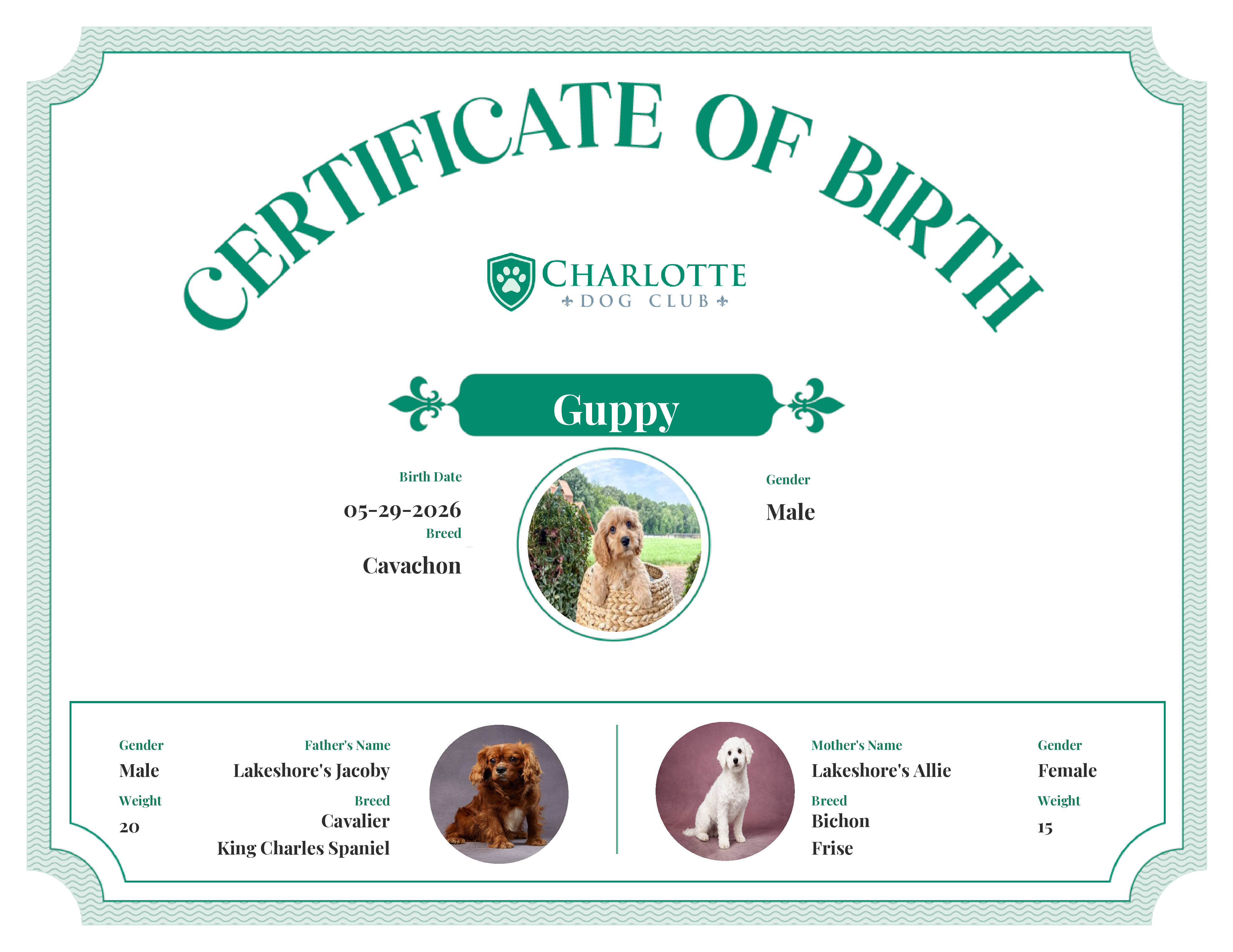 Guppy's Birth Certificate