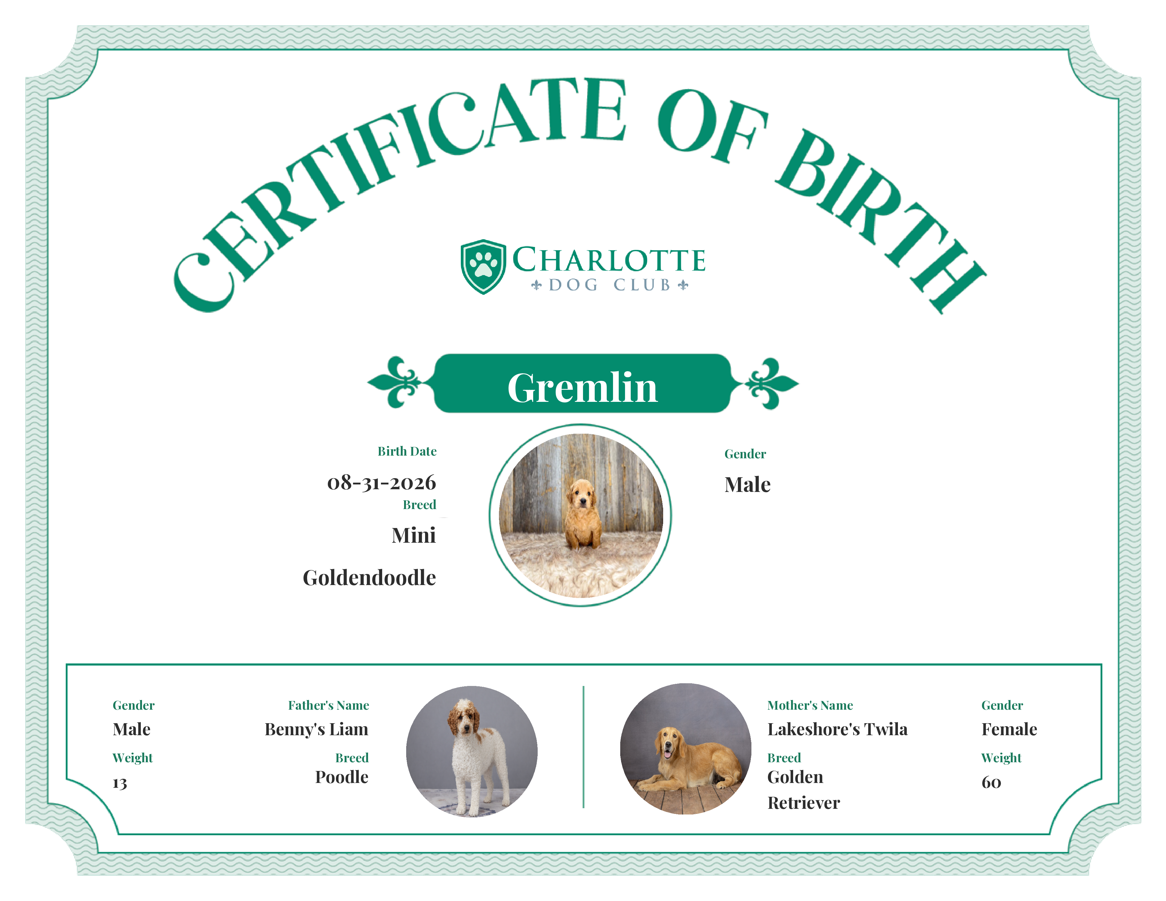 Gremlin's Birth Certificate
