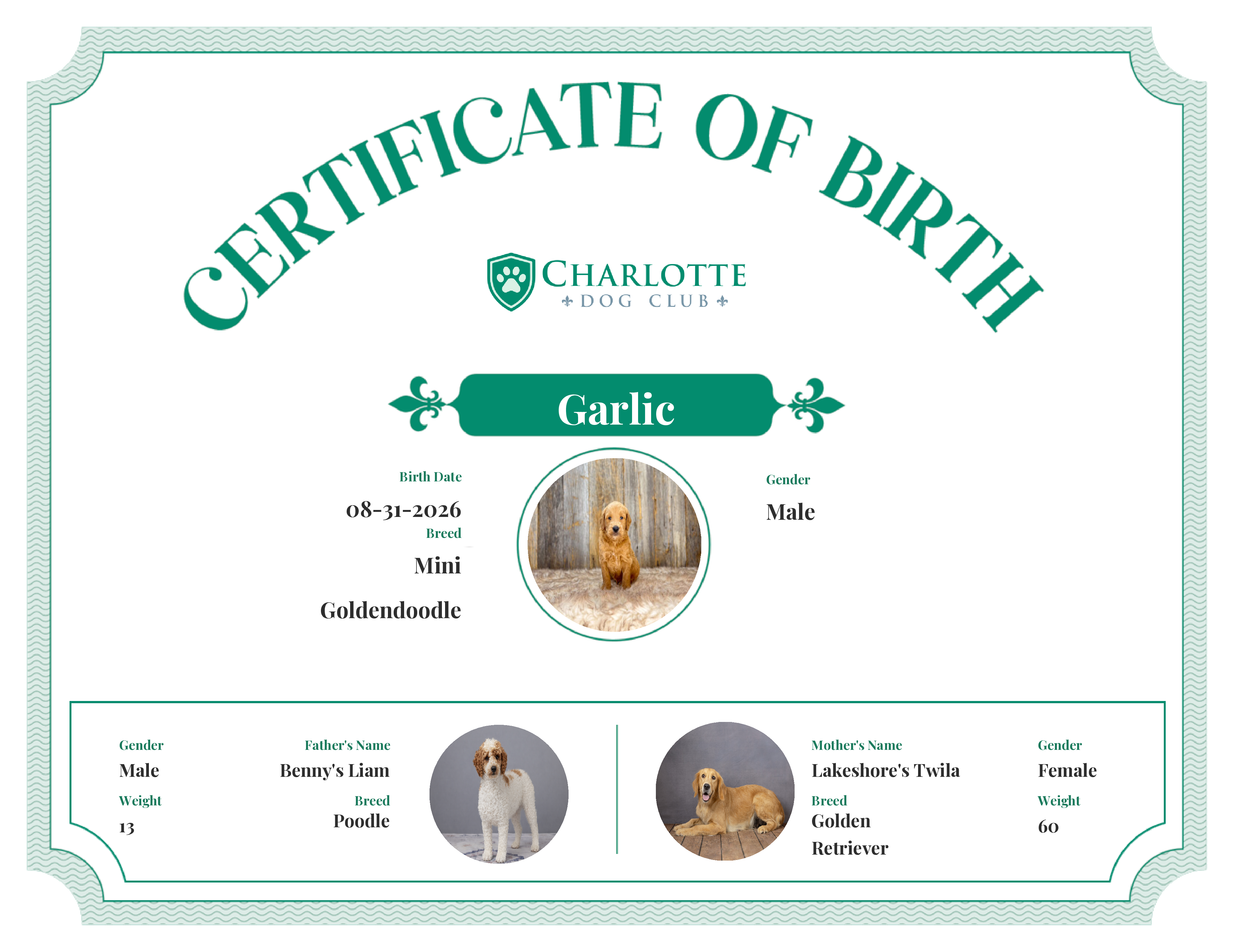 Garlic's Birth Certificate