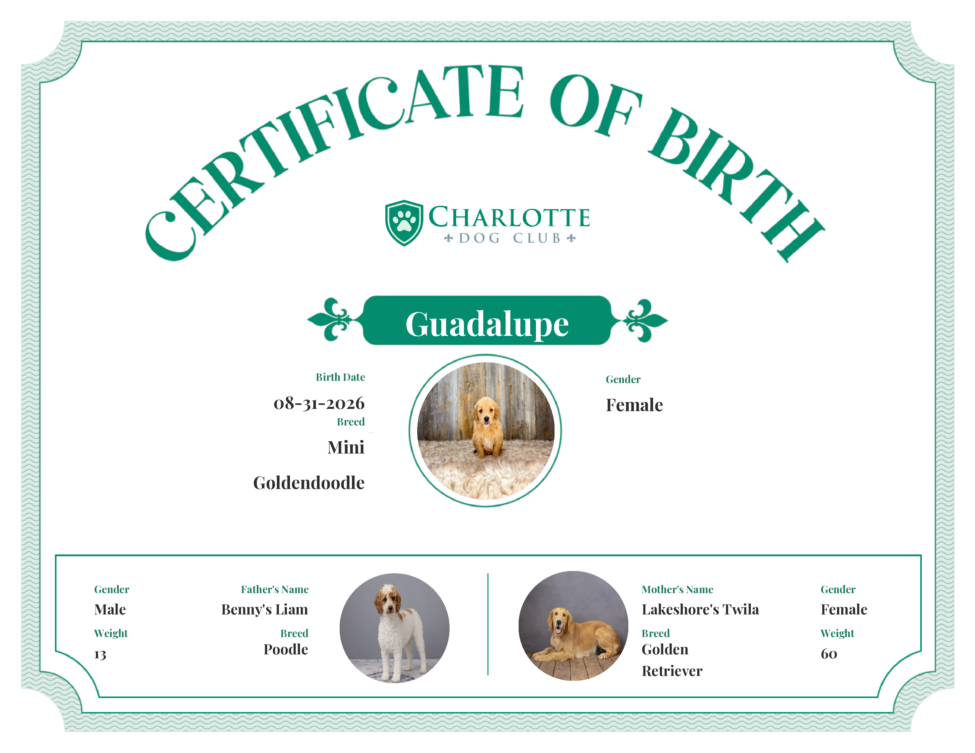 Guadalupe's Birth Certificate