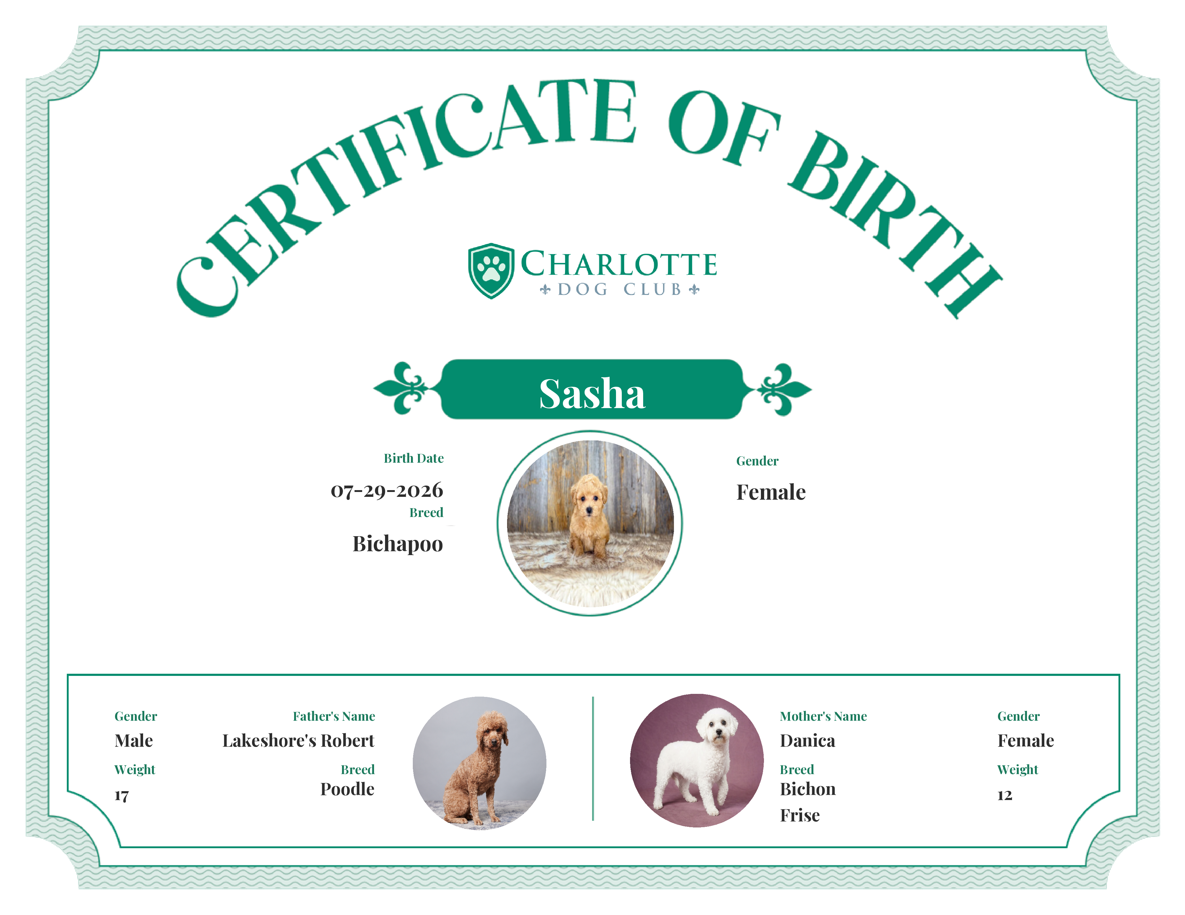 Sasha's Birth Certificate