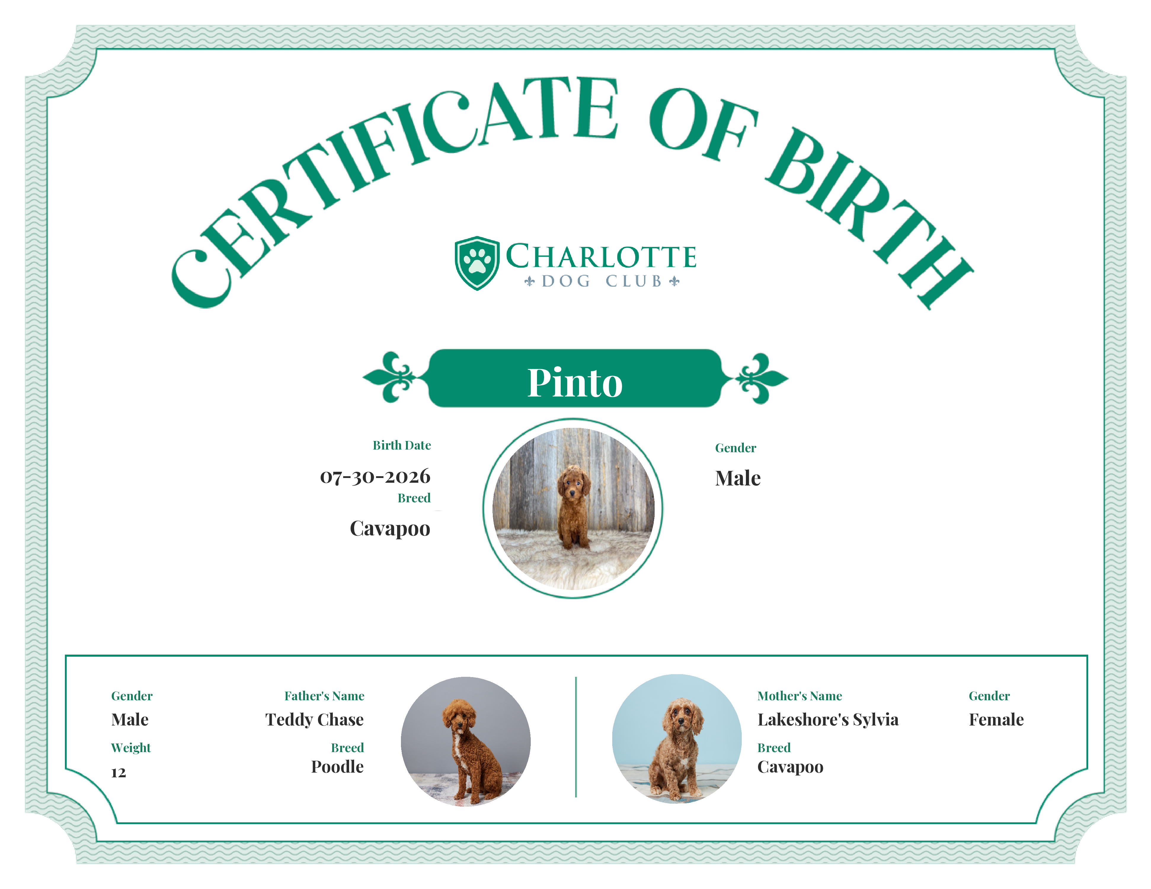 Pinto's Birth Certificate