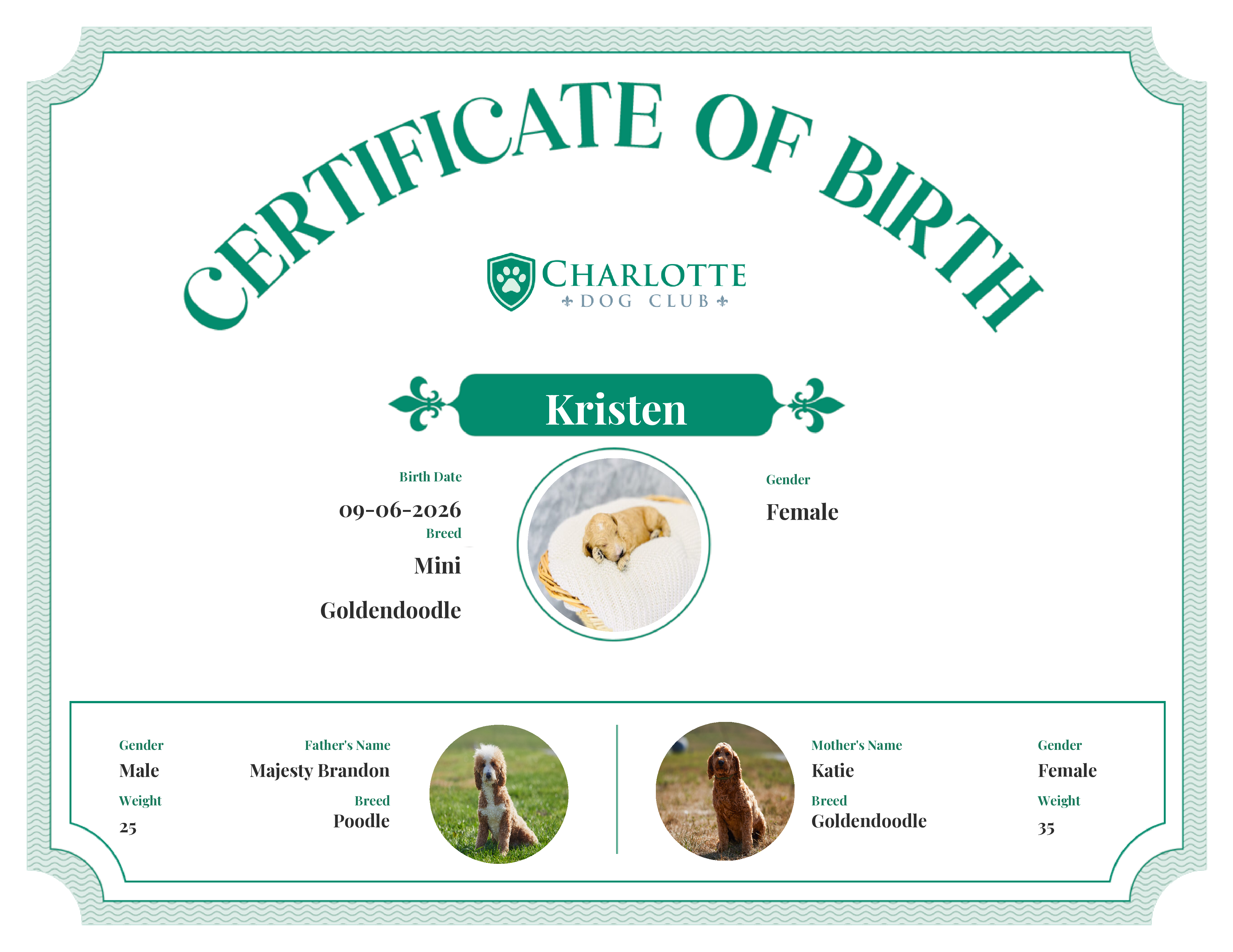 Kristen's Birth Certificate
