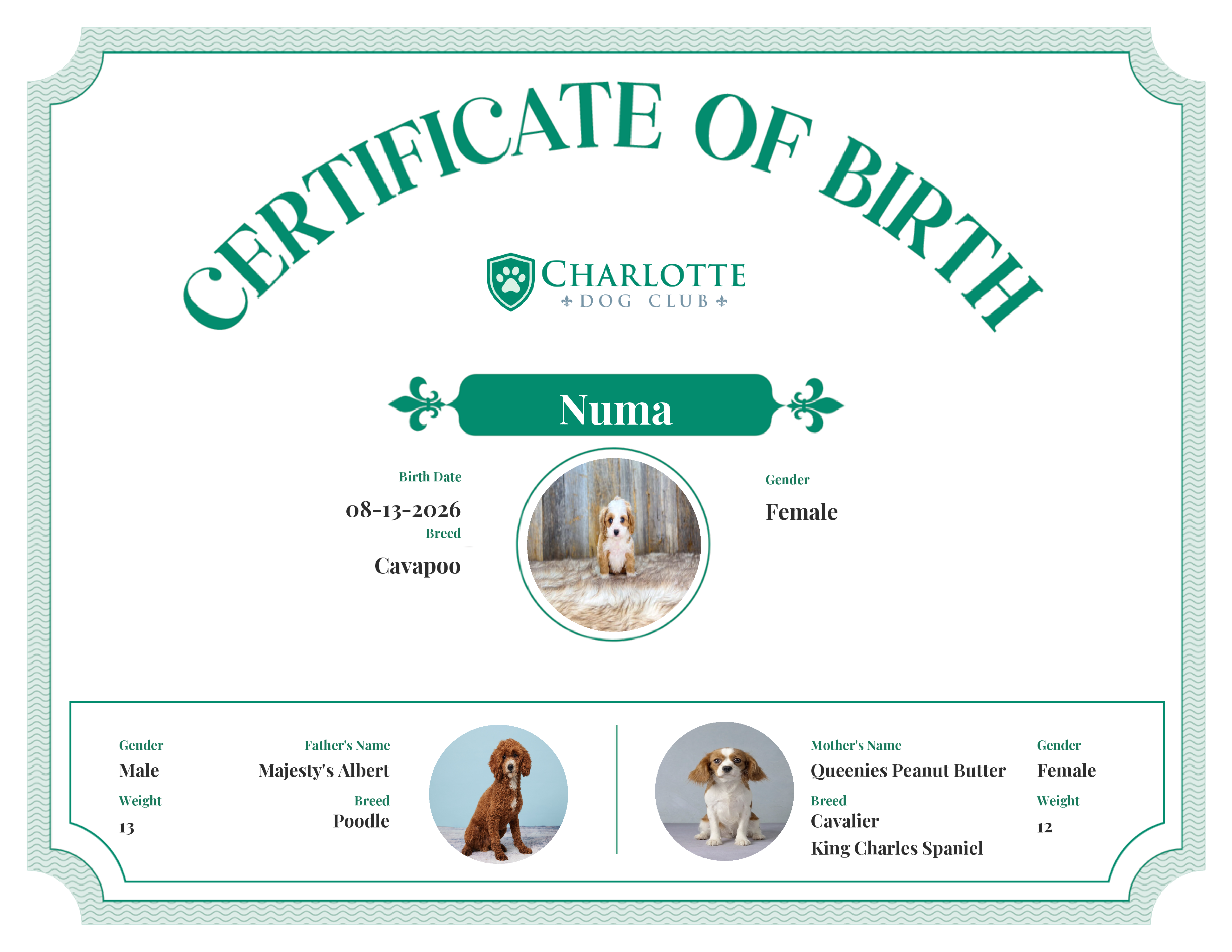 Numa's Birth Certificate