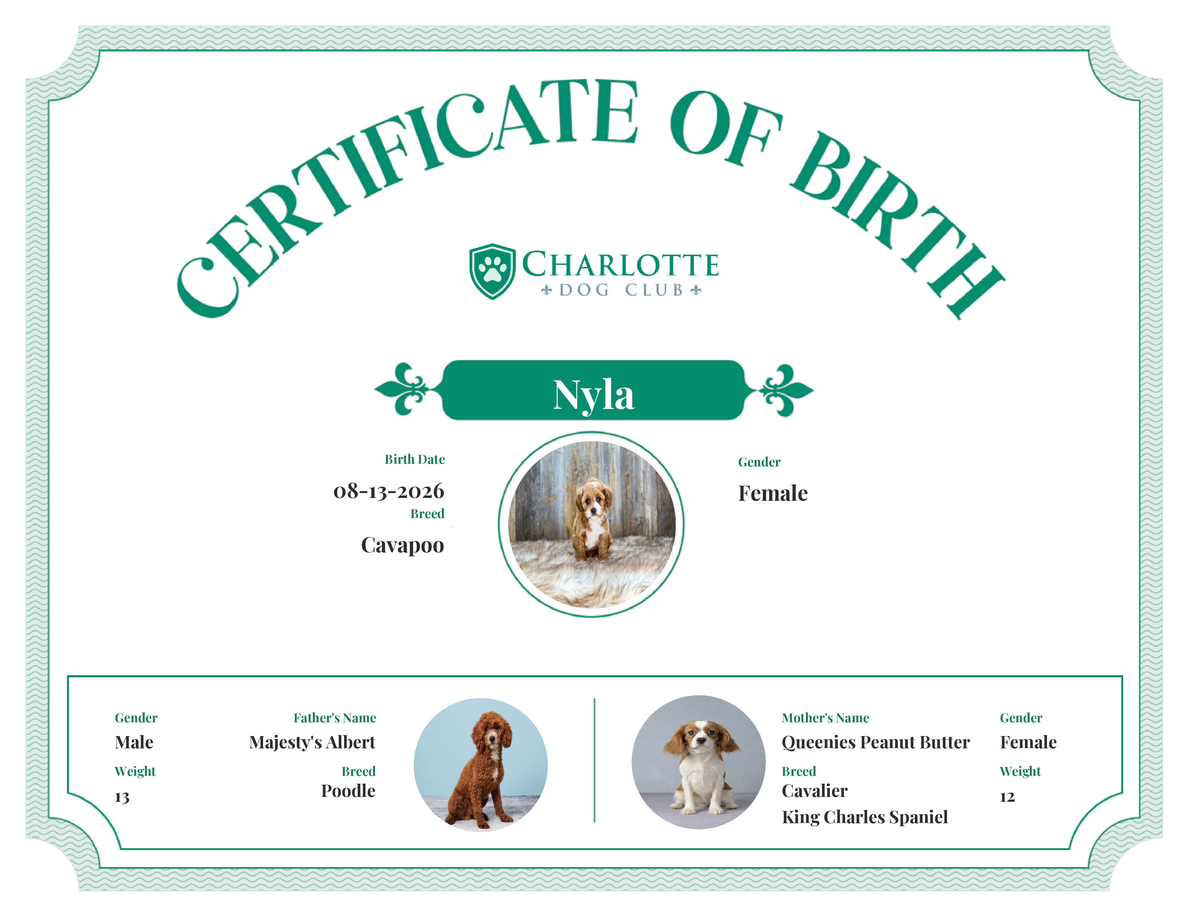 Nyla's Birth Certificate