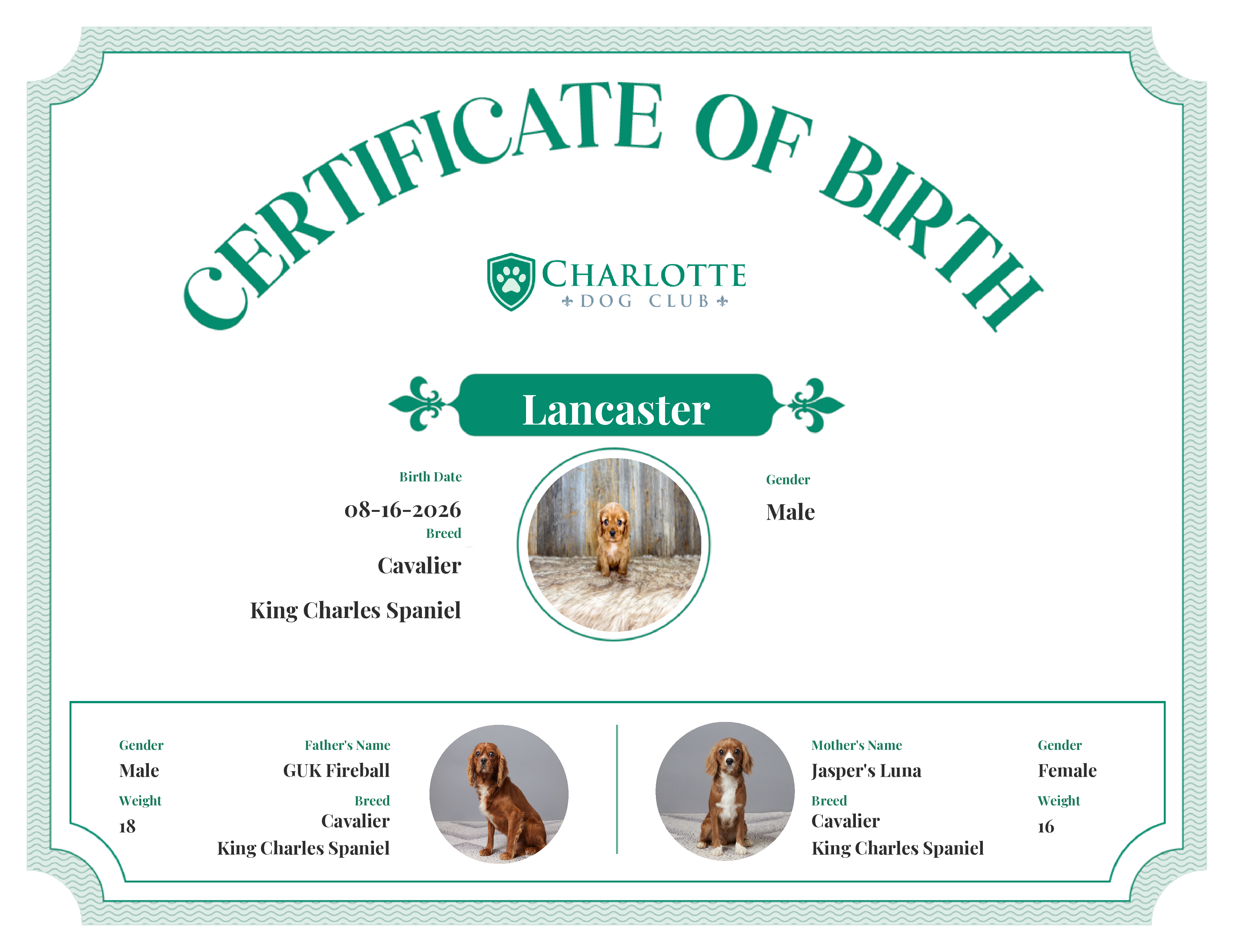 Lancaster's Birth Certificate