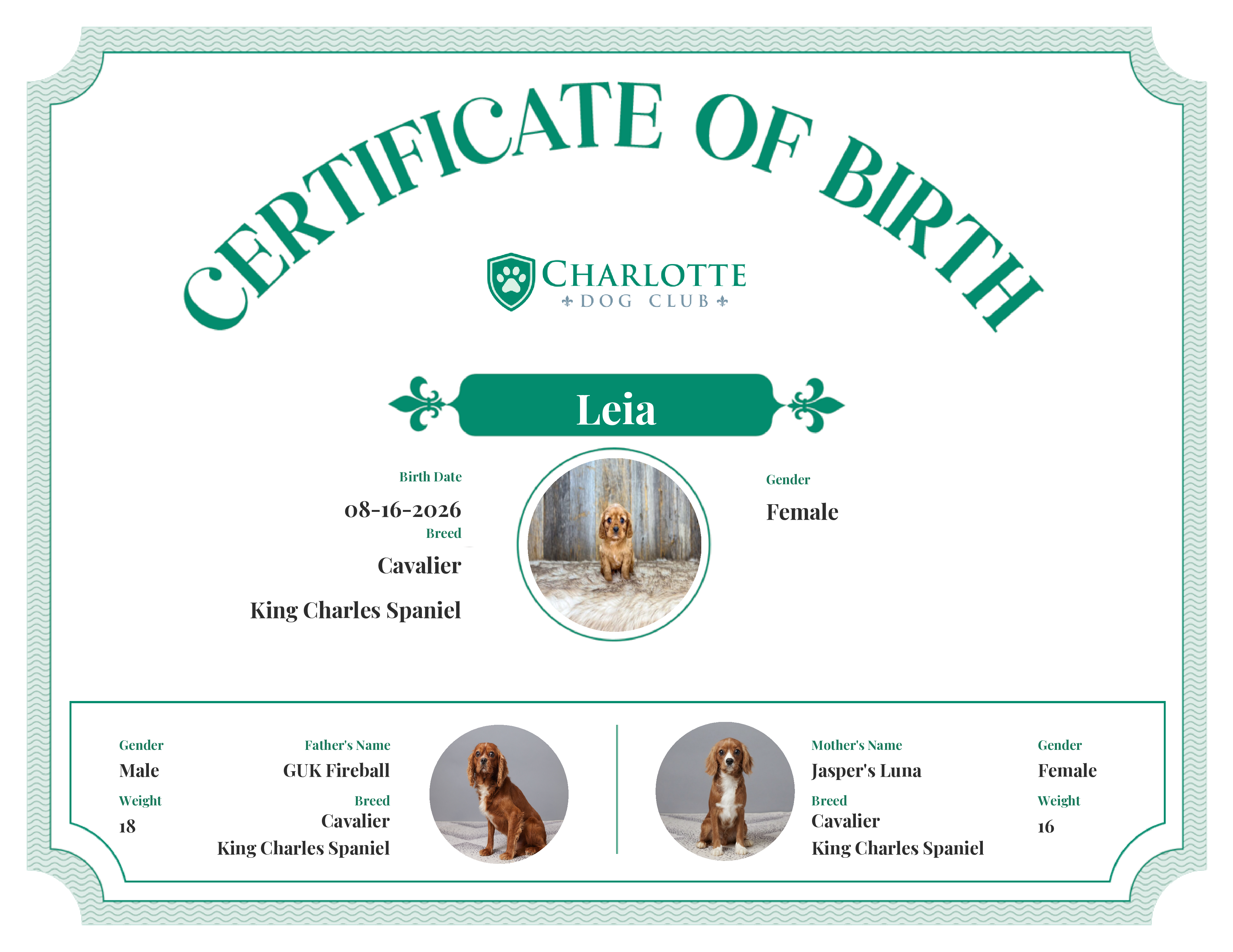 Leia's Birth Certificate