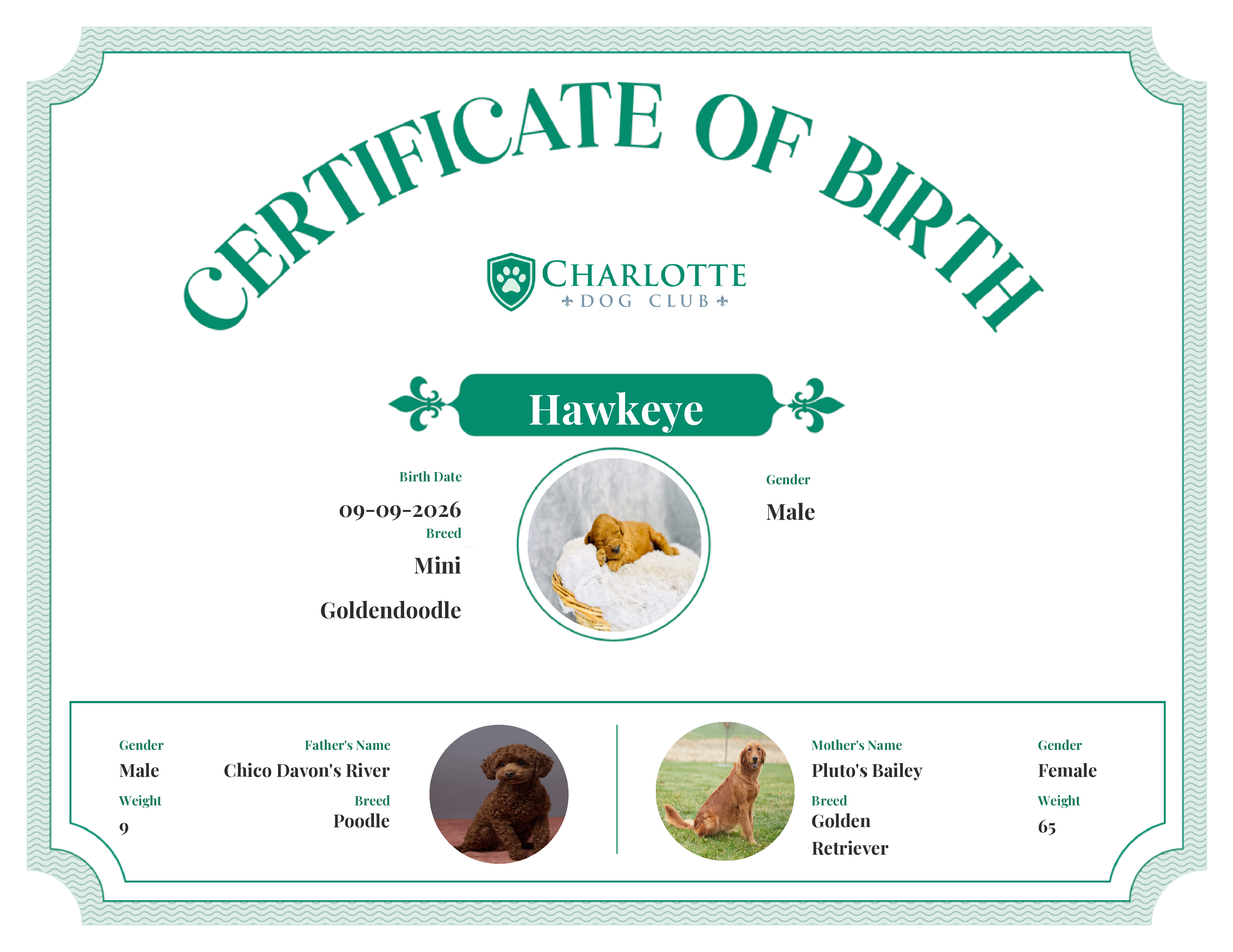 Hawkeye's Birth Certificate