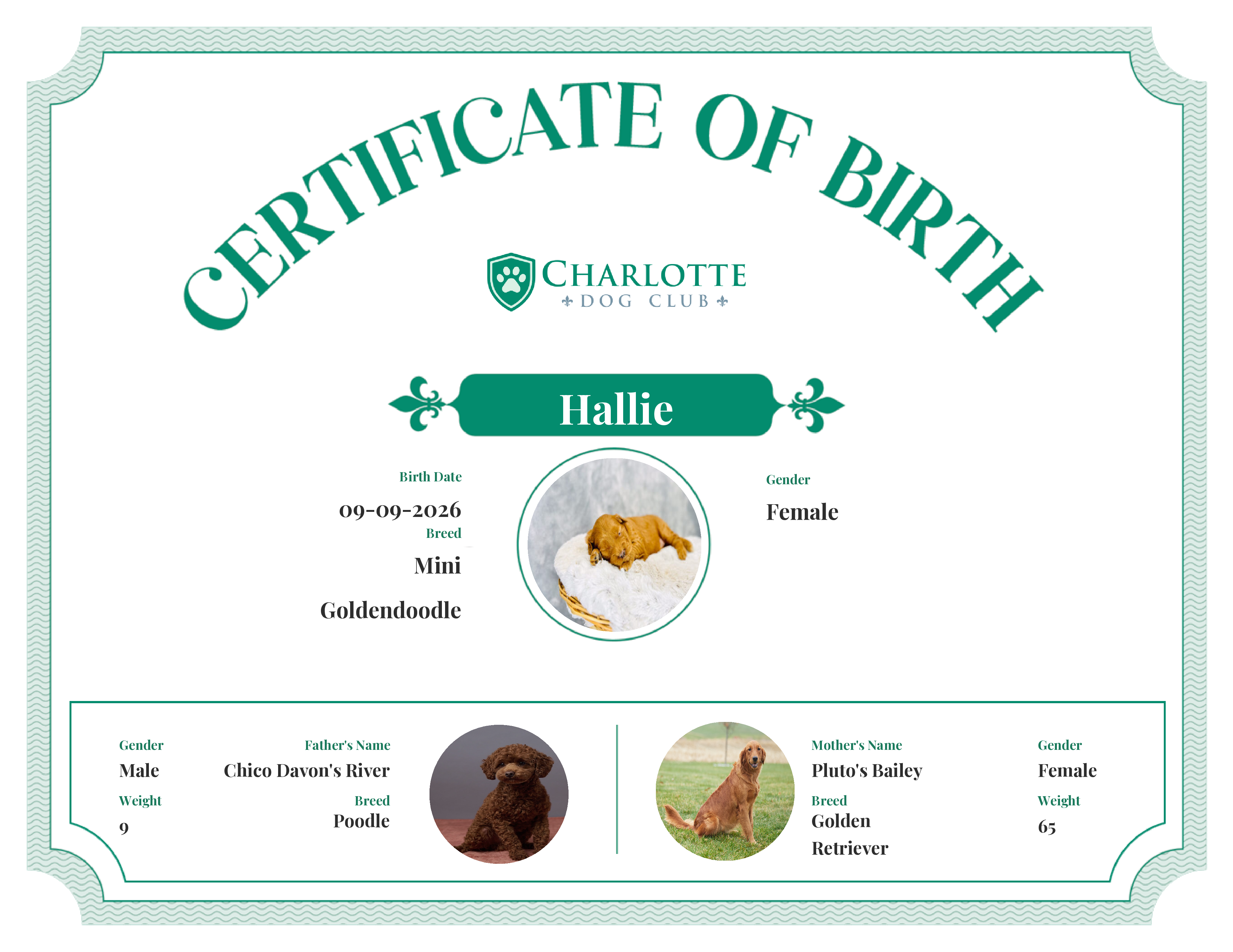 Hallie's Birth Certificate