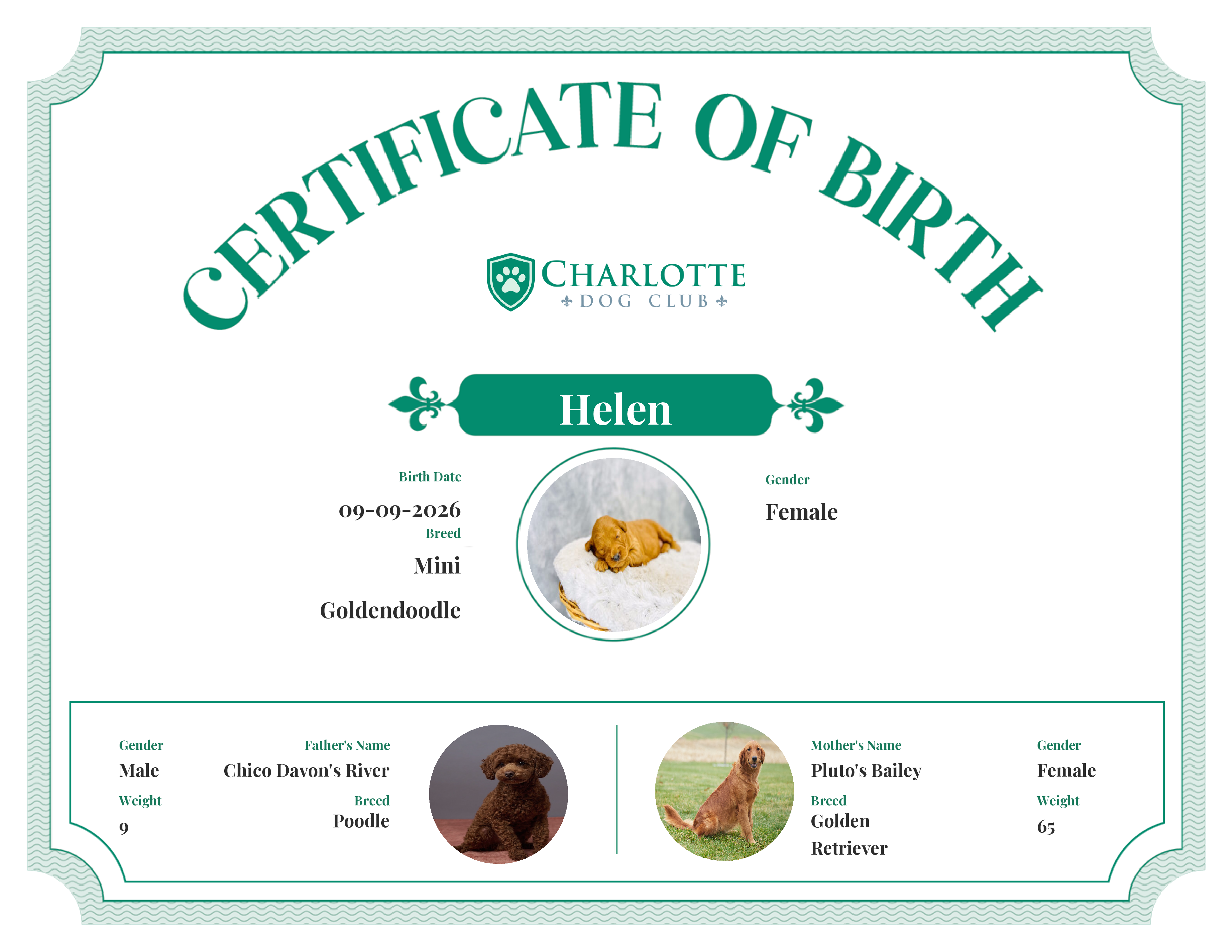 Helen's Birth Certificate