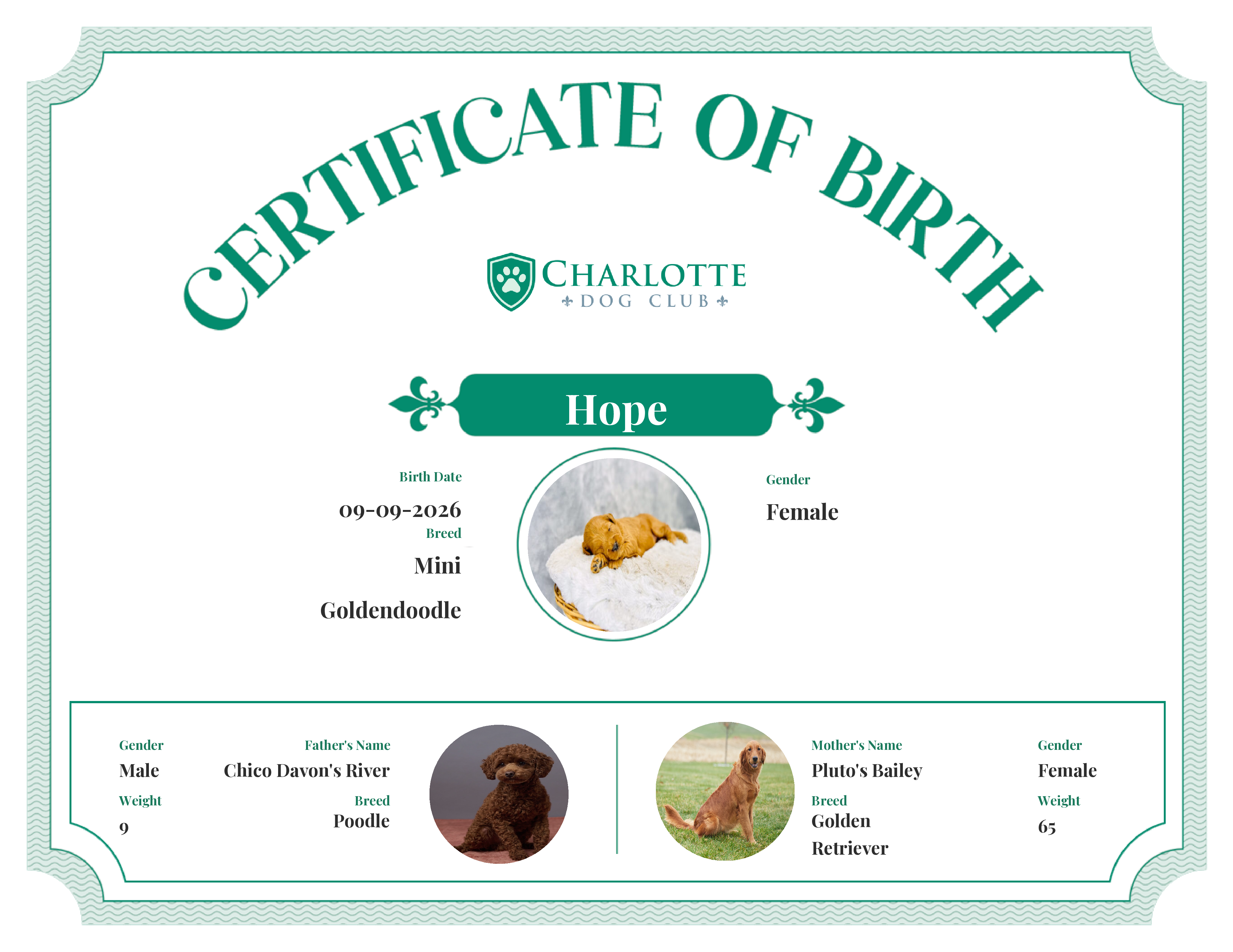 Hope's Birth Certificate