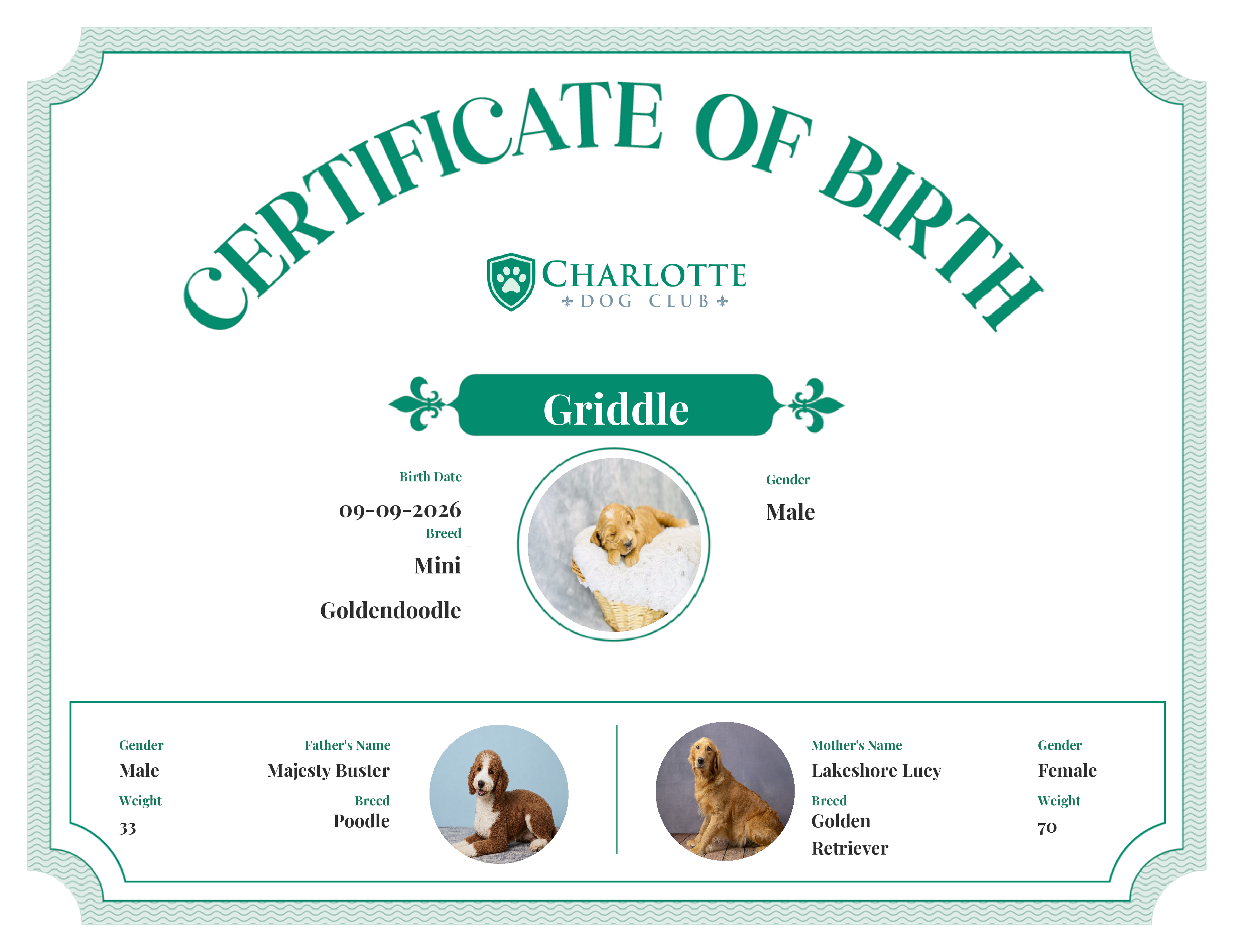 Griddle's Birth Certificate
